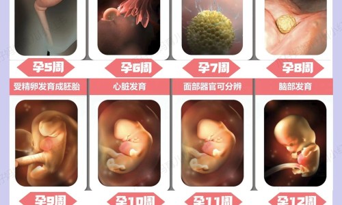 淮山汁最佳搭配食物-淮山汁 功效网- 淮山汁不能乱喝知识,分享淮山汁最佳搭配食物